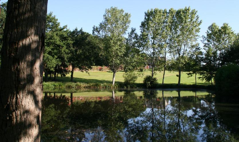Domaine De Vilotte Bed & Breakfast Ardenais ภายนอก รูปภาพ